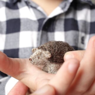 Baby hedgehog in the palm of my child's hand