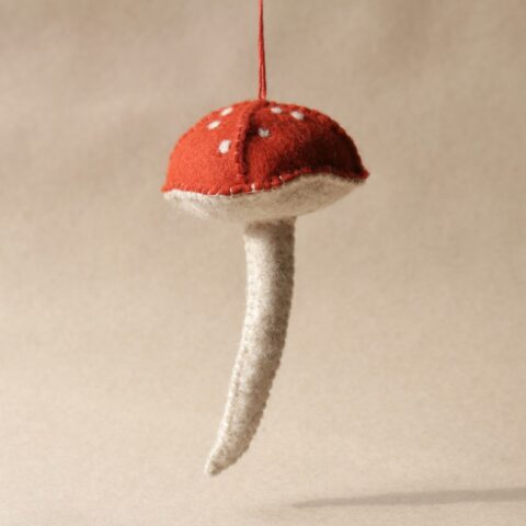 Mushroom in amanite-felt